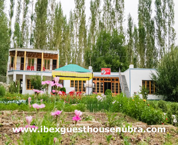 About Ibex Guest House Nubra