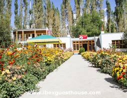 Ibex Guest House Nubra Flower Garden