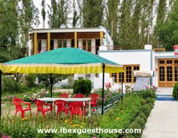 Ibex Guest House Nubra Valley Ladakh Outside Sitting Area