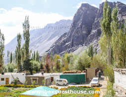 Ibex Guest House Nubra View From Room